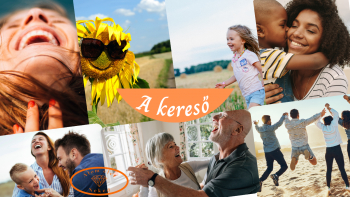 A kereső