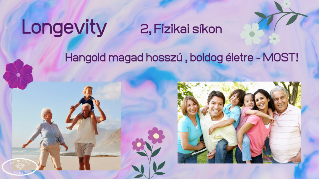 Longevity - Fizikai síkon